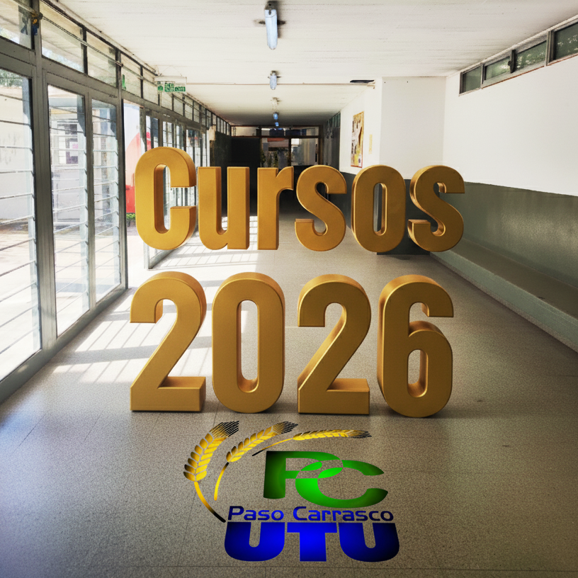 Fondo Cursos